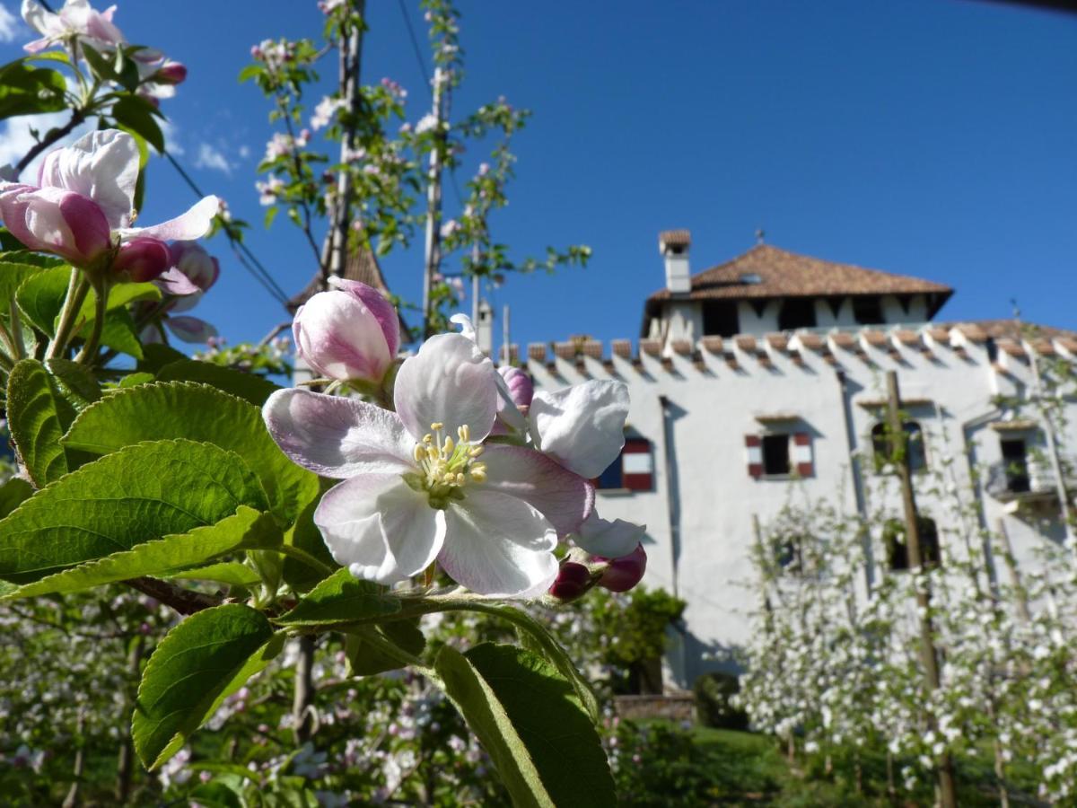 Apartments Schloss Paschbach Апиано сула Страда дел Вино Екстериор снимка