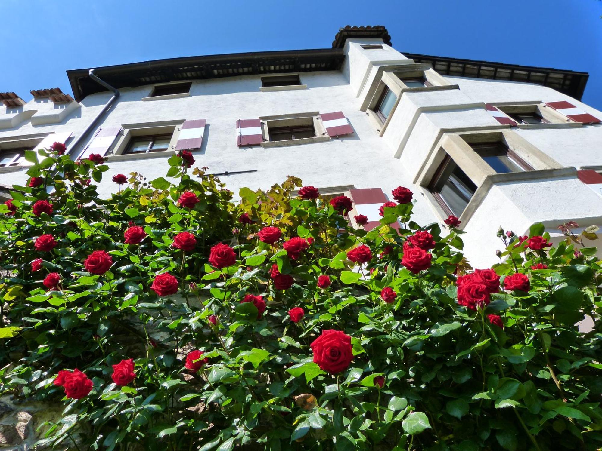 Apartments Schloss Paschbach Апиано сула Страда дел Вино Екстериор снимка
