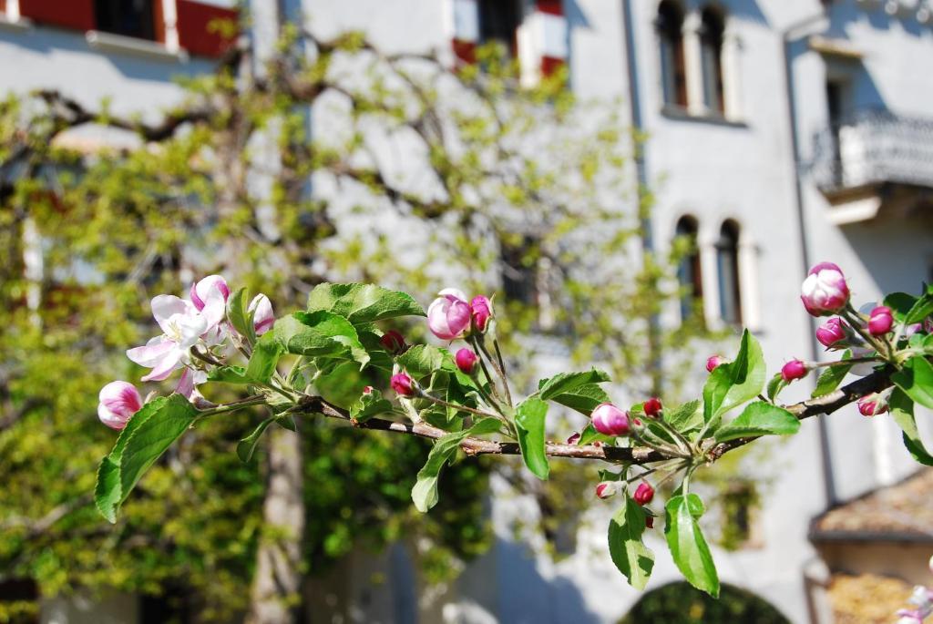 Apartments Schloss Paschbach Апиано сула Страда дел Вино Екстериор снимка