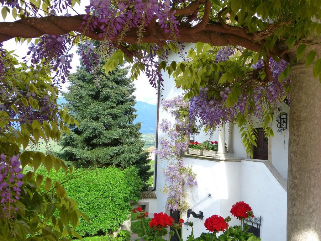 Apartments Schloss Paschbach Апиано сула Страда дел Вино Екстериор снимка
